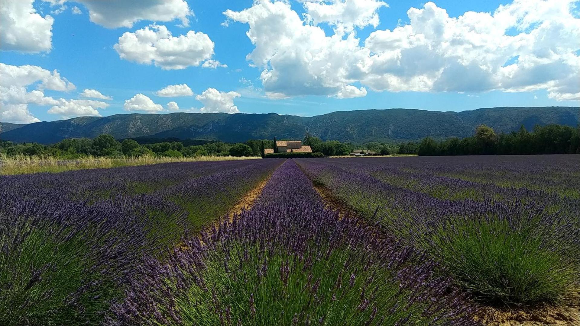 Le Mas De Roussillon Roussillon en Isere 外观 照片